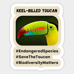 Endangered Toucan Sticker